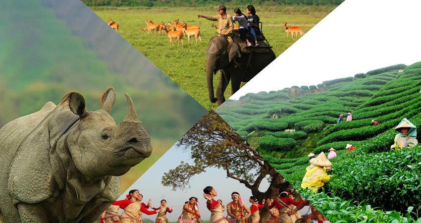 Assam Tour
