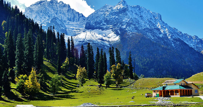 Jammu & Kashmir Tour