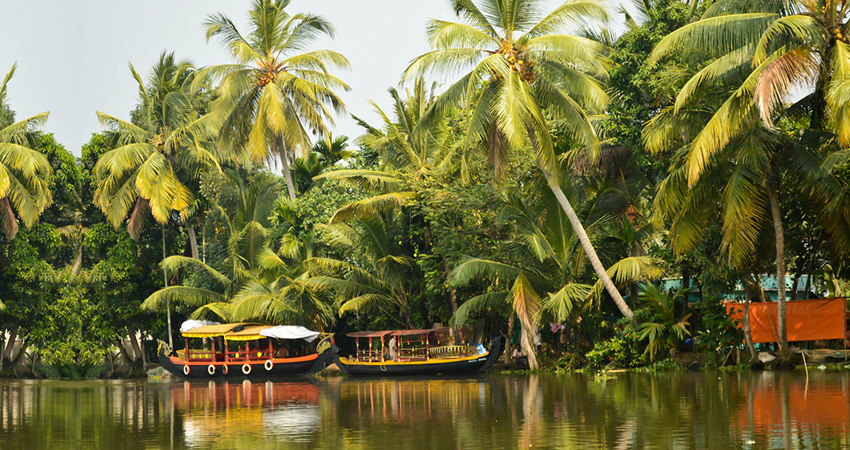 Kerala Tour
