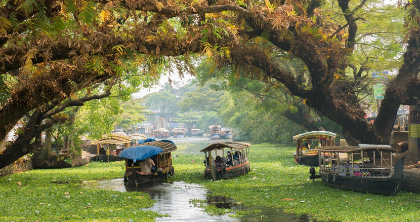 Kerala Tour