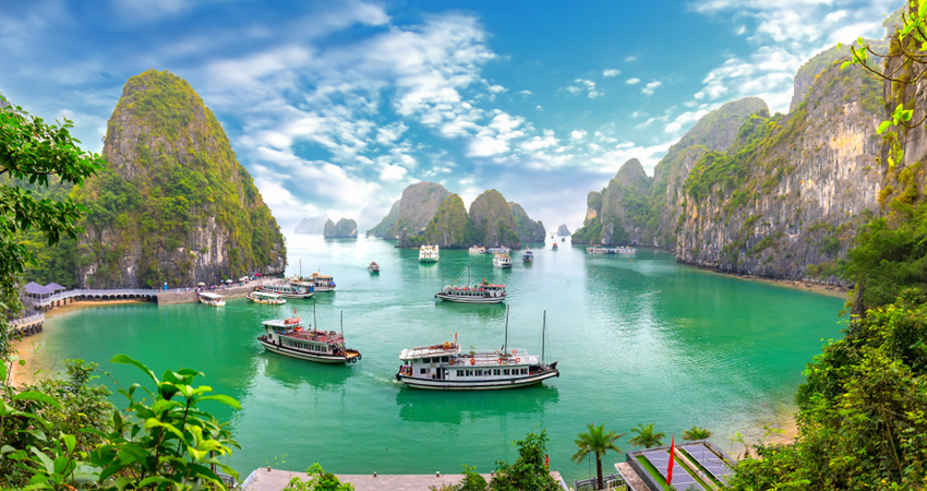Vietnam Tour