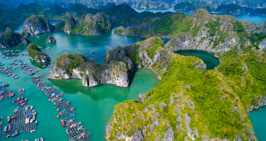 Vietnam Tour