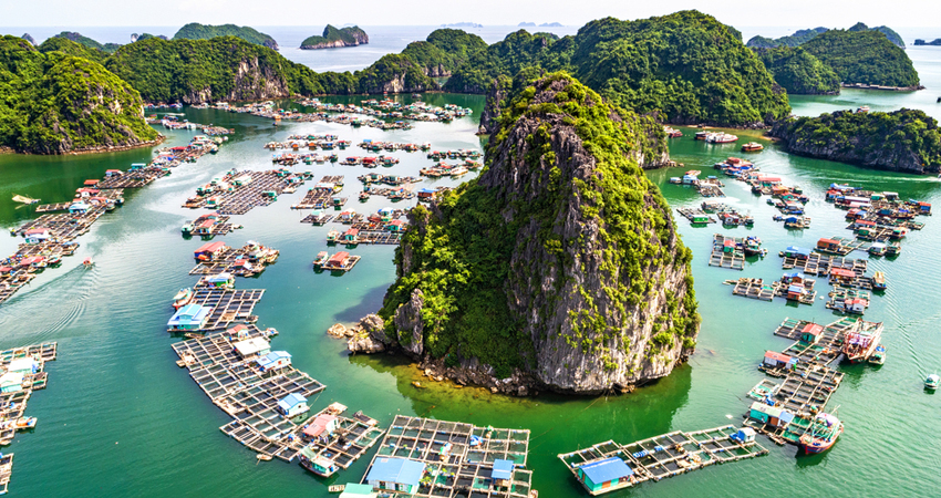 Vietnam Tour