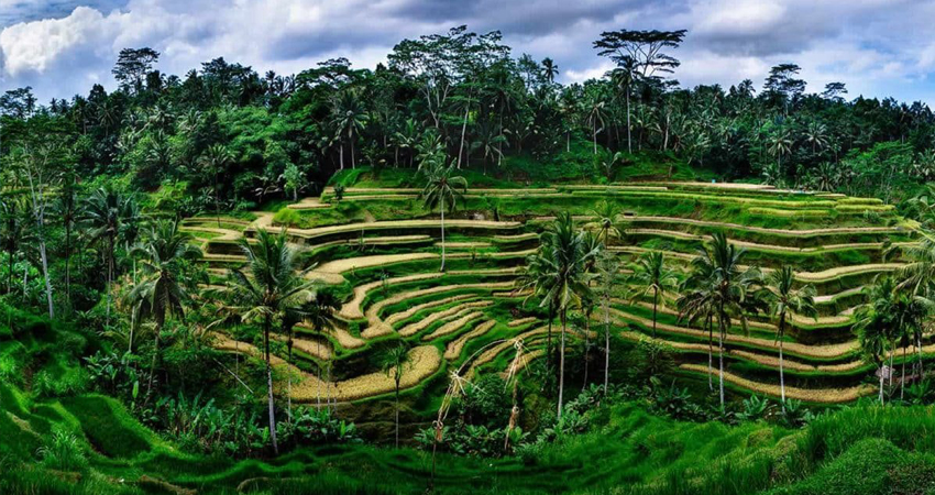 Bali Tour