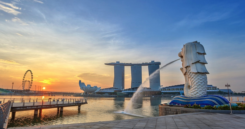 Singapore Tour